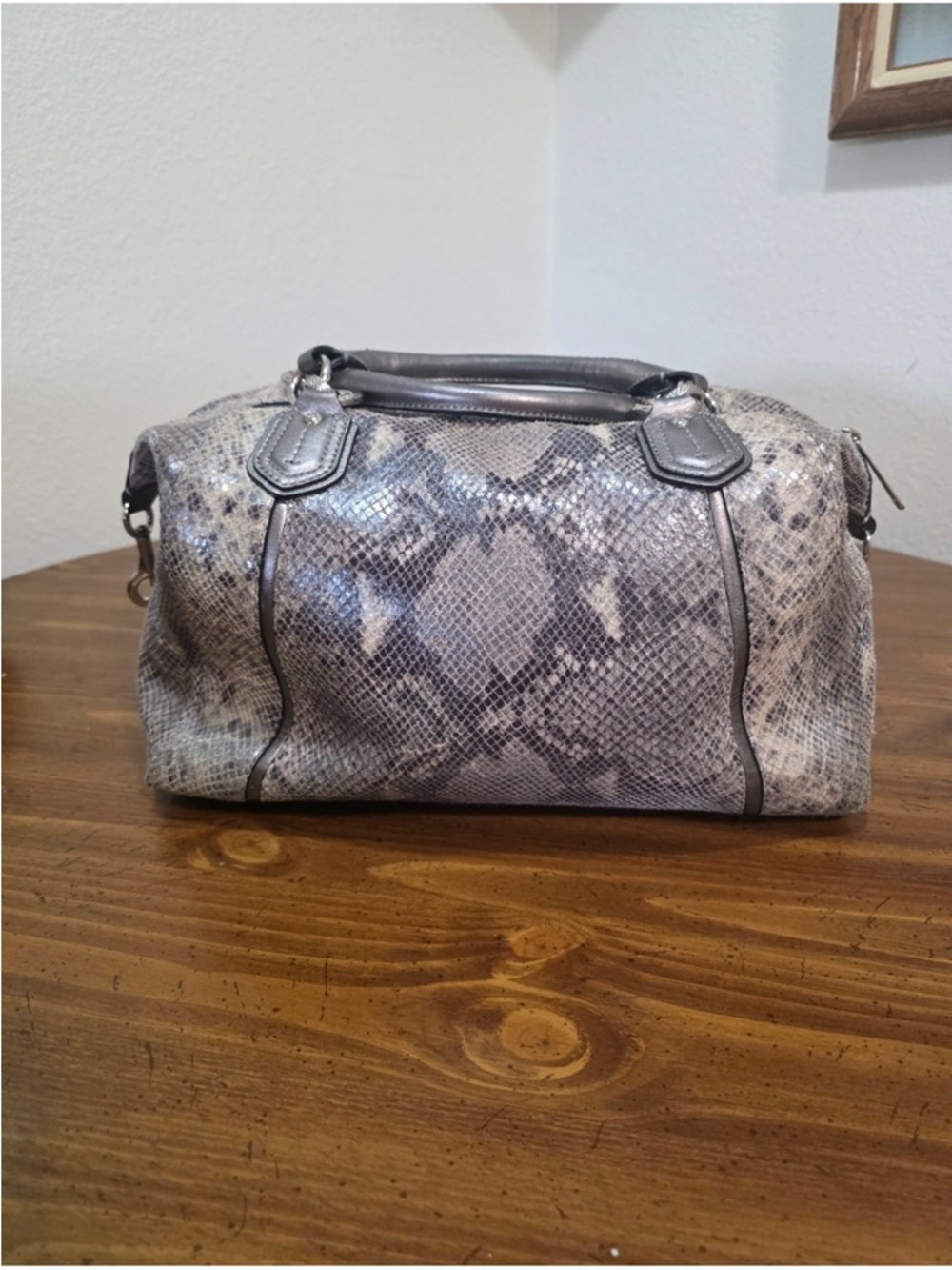 Coach Campbel Izzi Exotic Python Embossed